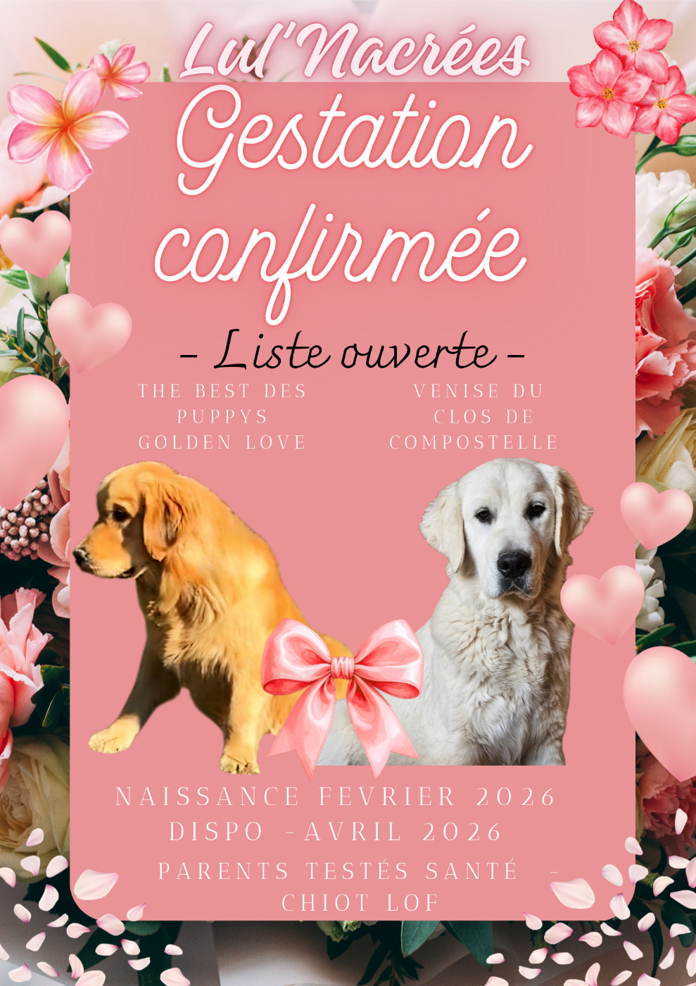 Bébés prochainement