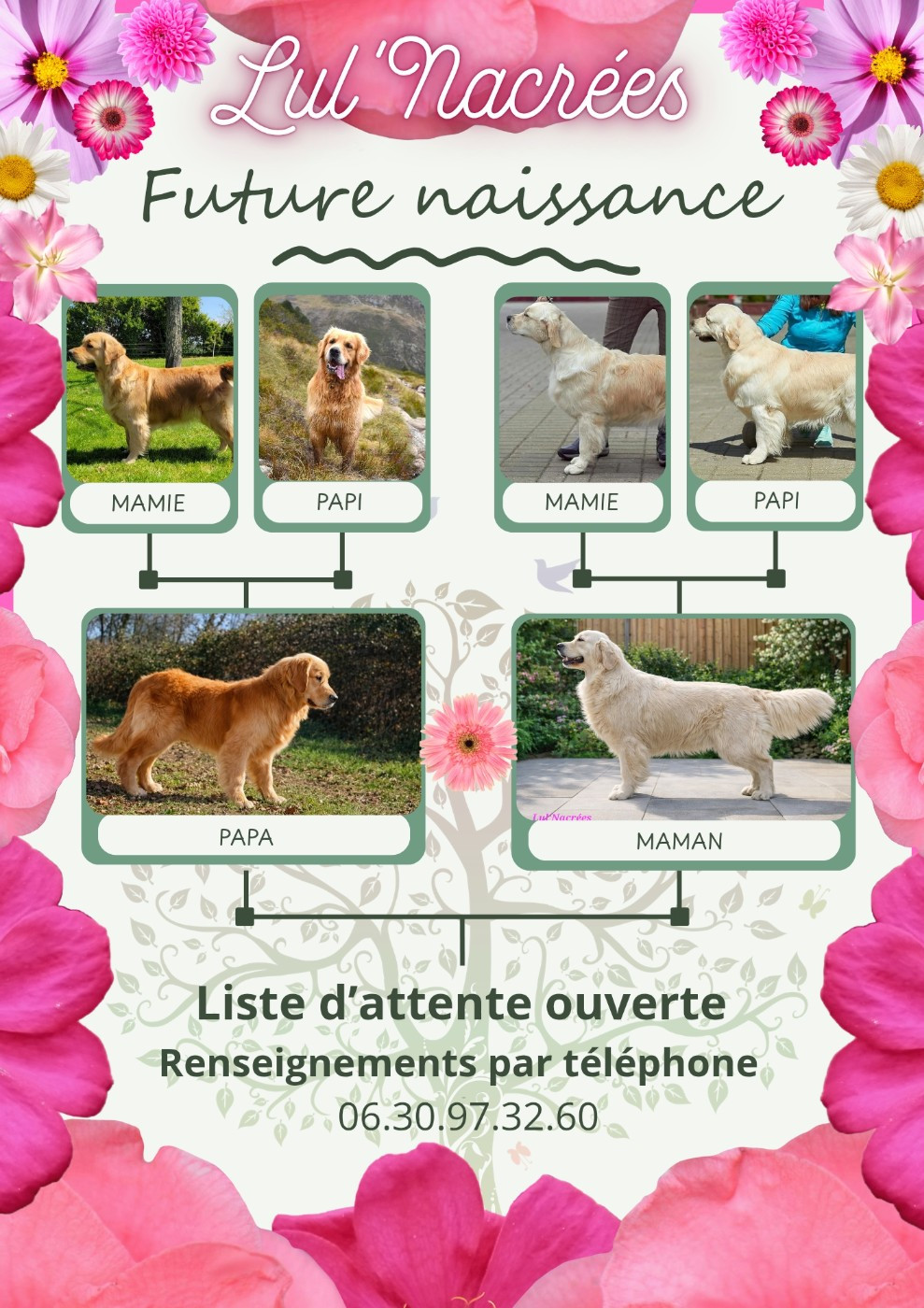 Lul'nacrees - Futures naissances