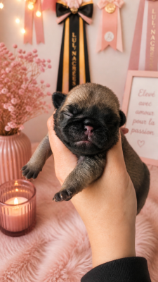 CHIOT 3